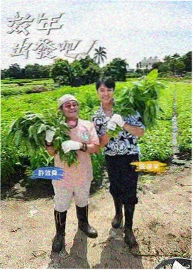 美女视频一区时尚穿搭指南